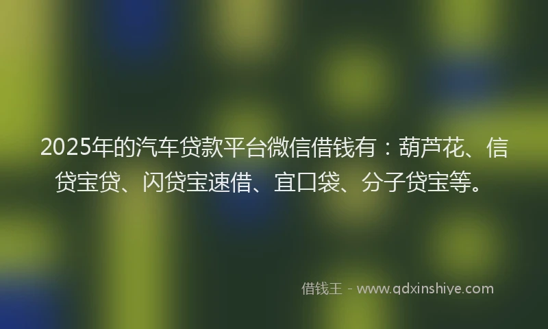 2025年的汽车贷款平台微信借钱有：葫芦花、信贷宝贷、闪贷宝速借、宜口袋、分子贷宝等。