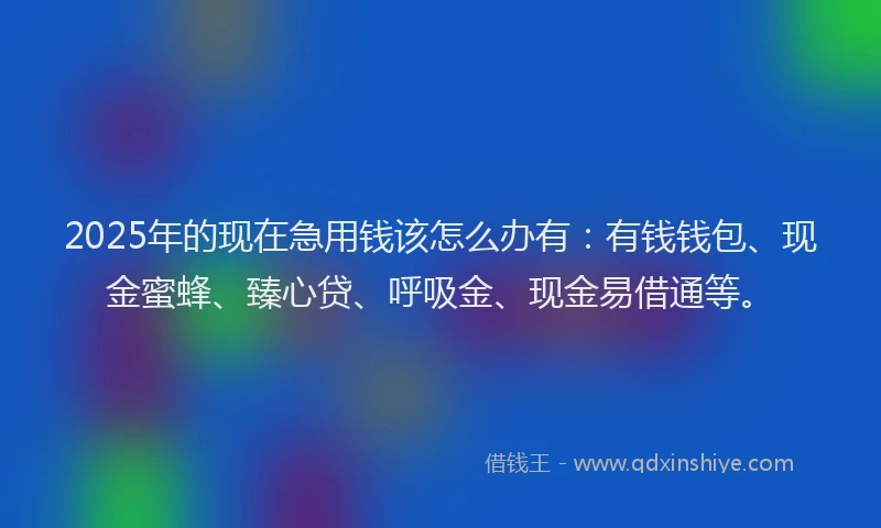 2025年的现在急用钱该怎么办有：有钱钱包、现金蜜蜂、臻心贷、呼吸金、现金易借通等。