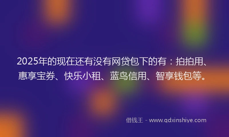 2025年的现在还有没有网贷包下的有：拍拍用、惠享宝券、快乐小租、蓝鸟信用、智享钱包等。