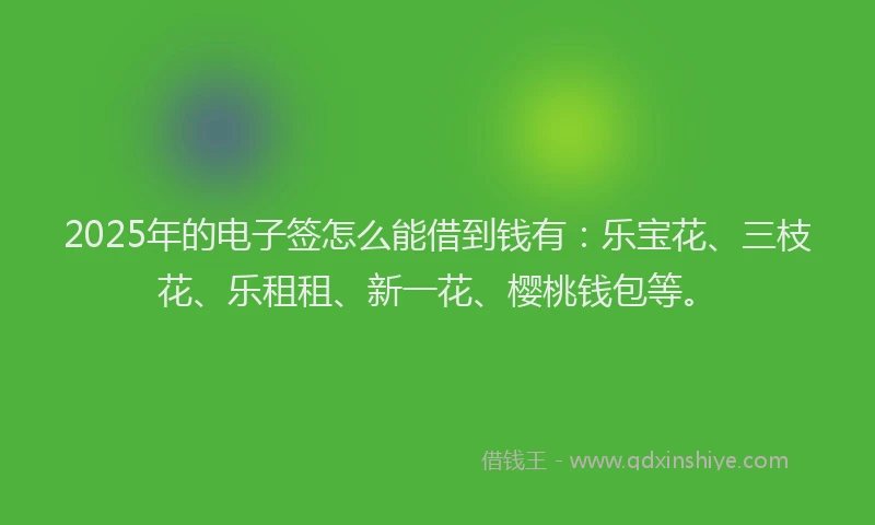 2025年的电子签怎么能借到钱有：乐宝花、三枝花、乐租租、新一花、樱桃钱包等。