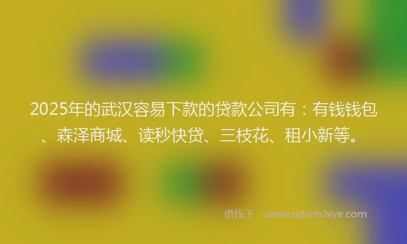 2025年的武汉容易下款的贷款公司有：有钱钱包、森泽商城、读秒快贷、三枝花、租小新等。