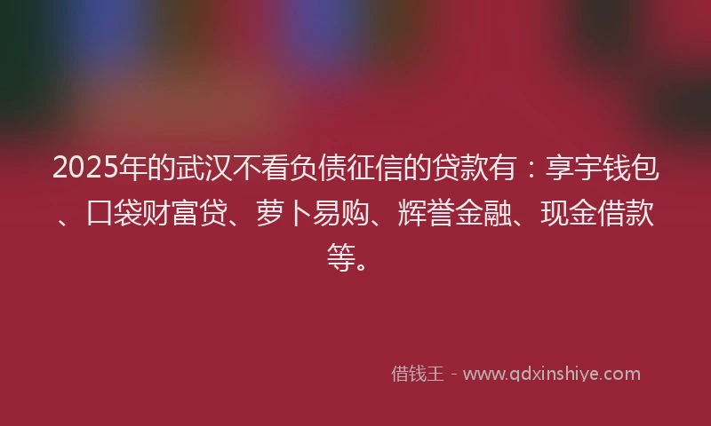 2025年的武汉不看负债征信的贷款有：享宇钱包、口袋财富贷、萝卜易购、辉誉金融、现金借款等。