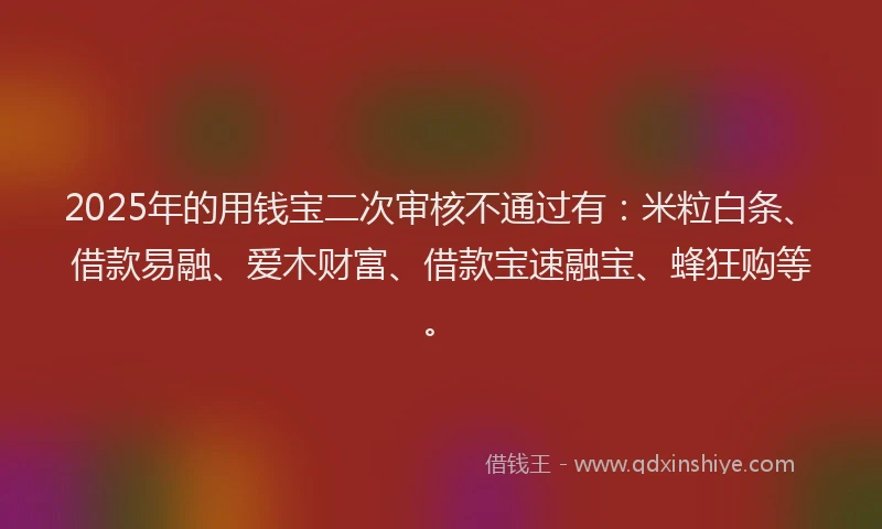 2025年的用钱宝二次审核不通过有：米粒白条、借款易融、爱木财富、借款宝速融宝、蜂狂购等。