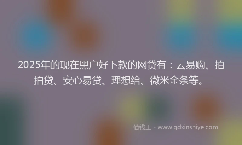 2025年的现在黑户好下款的网贷有：云易购、拍拍贷、安心易贷、理想给、微米金条等。