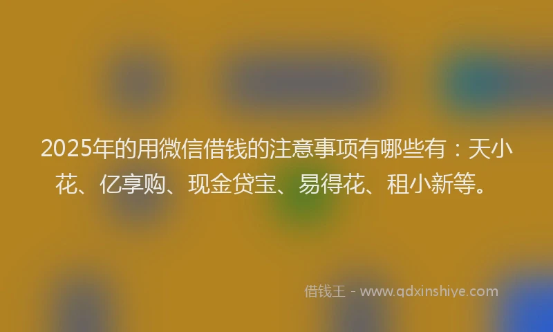2025年的用微信借钱的注意事项有哪些有：天小花、亿享购、现金贷宝、易得花、租小新等。
