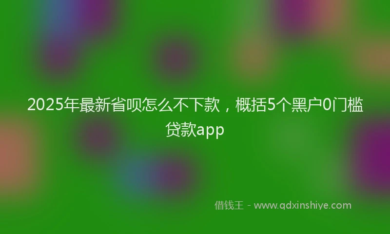 2025年最新省呗怎么不下款，概括5个黑户0门槛贷款app