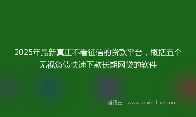 2025年最新真正不看征信的贷款平台，概括五个无视负债快速下款长期网贷的软件