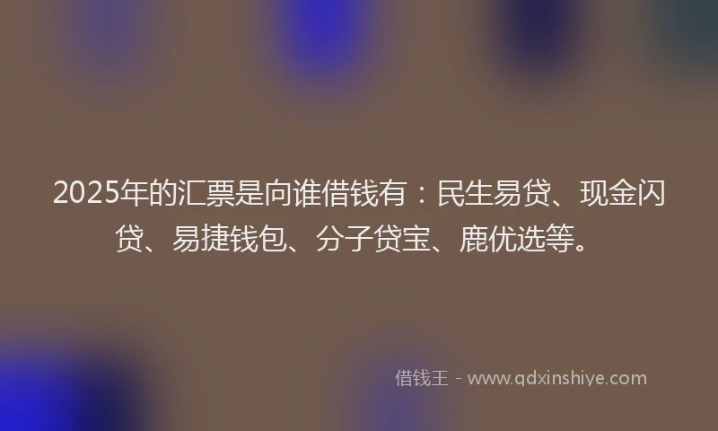 2025年的汇票是向谁借钱有：民生易贷、现金闪贷、易捷钱包、分子贷宝、鹿优选等。