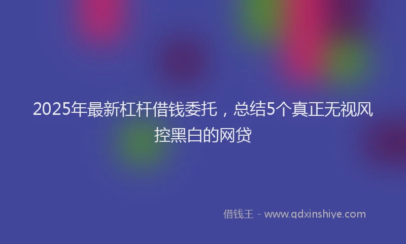 2025年最新杠杆借钱委托，总结5个真正无视风控黑白的网贷