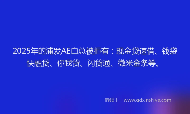 2025年的浦发AE白总被拒有：现金贷速借、钱袋快融贷、你我贷、闪贷通、微米金条等。