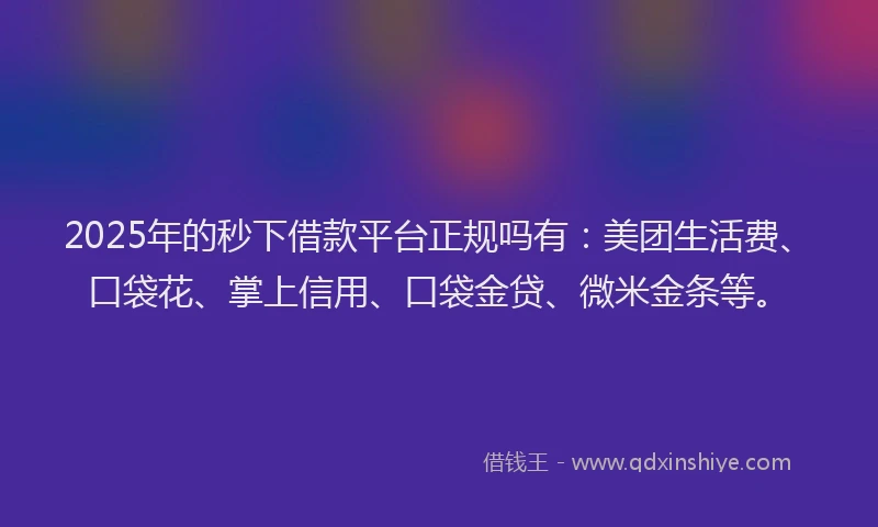 2025年的秒下借款平台正规吗有：美团生活费、口袋花、掌上信用、口袋金贷、微米金条等。