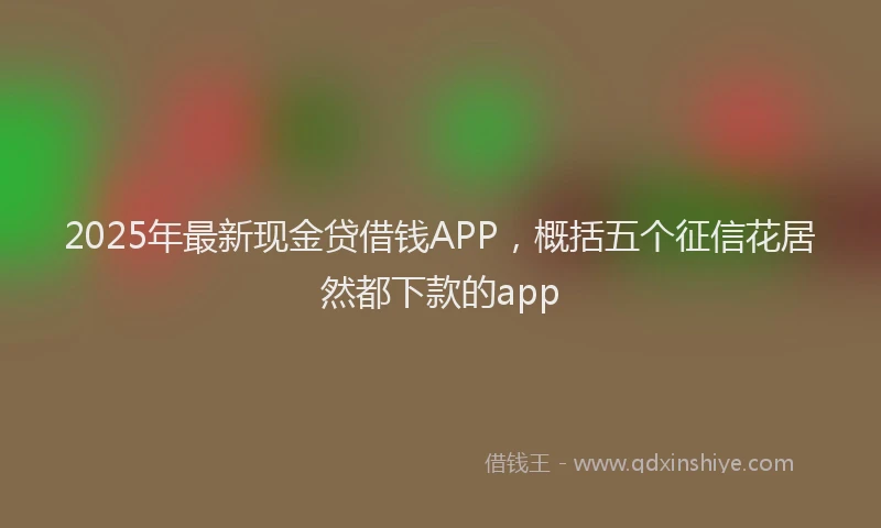2025年最新现金贷借钱APP，概括五个征信花居然都下款的app