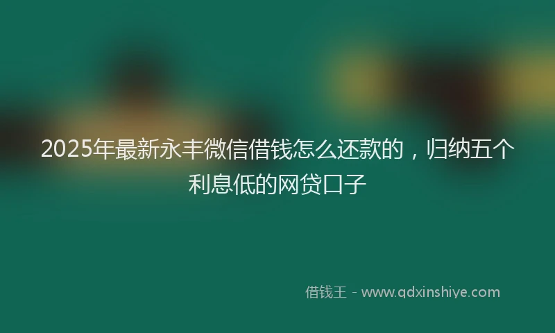 2025年最新永丰微信借钱怎么还款的,归纳五个利息低的网贷口子