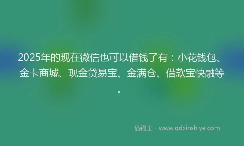 2025年的现在微信也可以借钱了有：小花钱包、金卡商城、现金贷易宝、金满仓、借款宝快融等。