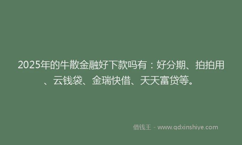 2025年的牛散金融好下款吗有：好分期、拍拍用、云钱袋、金瑞快借、天天富贷等。