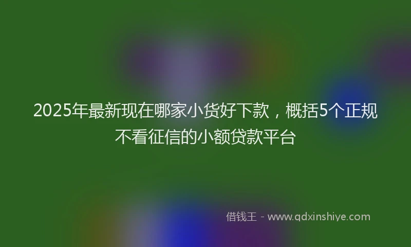 2025年最新现在哪家小货好下款，概括5个正规不看征信的小额贷款平台