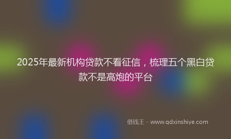 2025年最新机构贷款不看征信，梳理五个黑白贷款不是高炮的平台