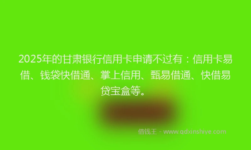 2025年的甘肃银行信用卡申请不过有：信用卡易借、钱袋快借通、掌上信用、甄易借通、快借易贷宝盒等。