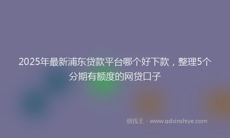 2025年最新浦东贷款平台哪个好下款，整理5个分期有额度的网贷口子