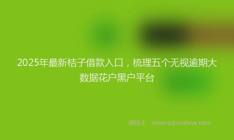 2025年最新桔子借款入口，梳理五个无视逾期大数据花户黑户平台