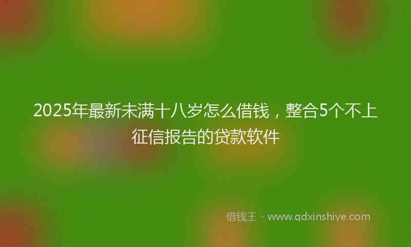 2025年最新未满十八岁怎么借钱，整合5个不上征信报告的贷款软件