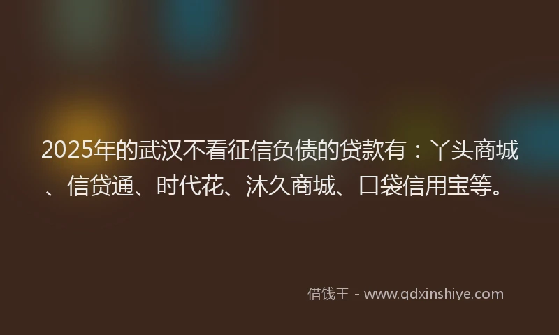 2025年的武汉不看征信负债的贷款有：丫头商城、信贷通、时代花、沐久商城、口袋信用宝等。