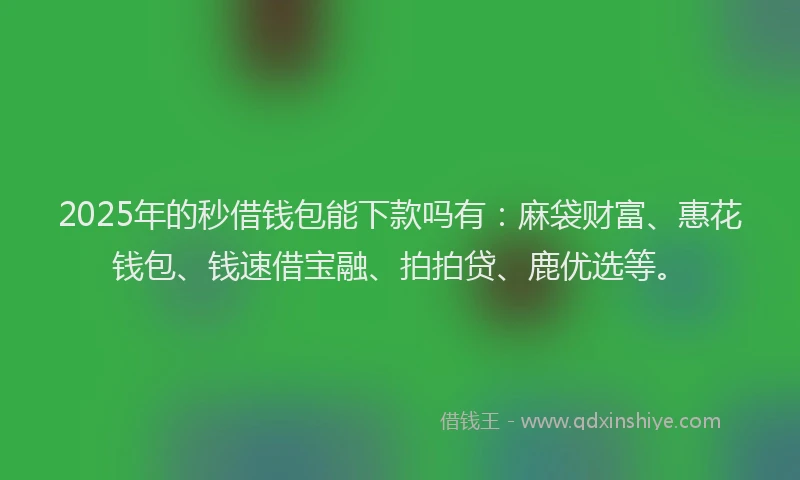 2025年的秒借钱包能下款吗有：麻袋财富、惠花钱包、钱速借宝融、拍拍贷、鹿优选等。