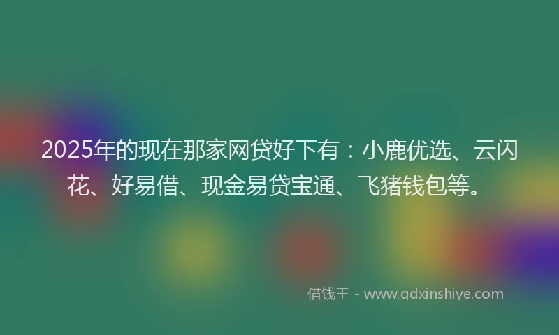 2025年的现在那家网贷好下有：小鹿优选、云闪花、好易借、现金易贷宝通、飞猪钱包等。