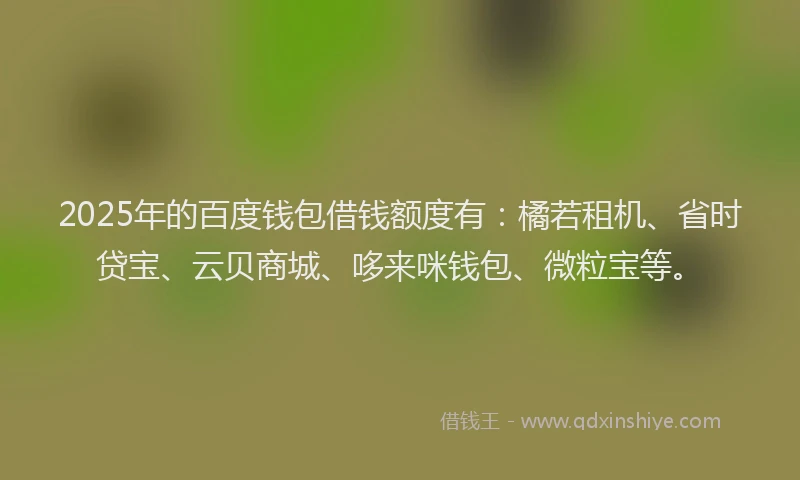 2025年的百度钱包借钱额度有：橘若租机、省时贷宝、云贝商城、哆来咪钱包、微粒宝等。