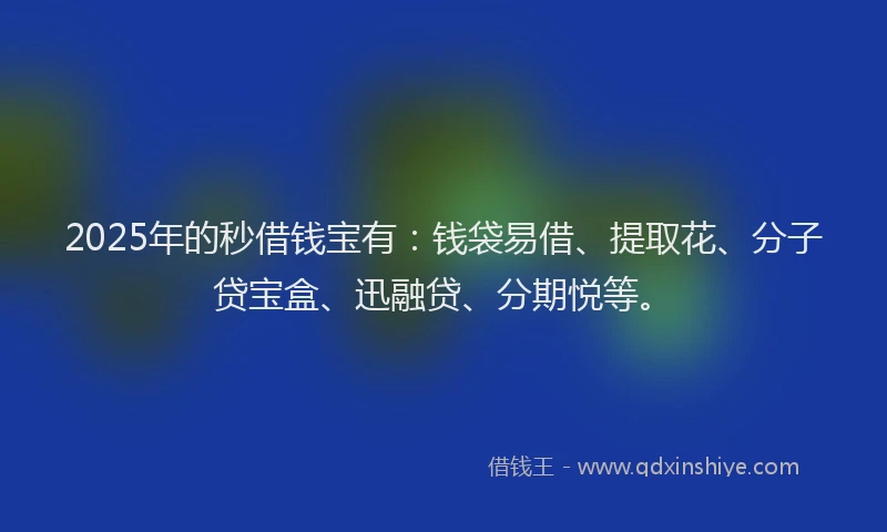 2025年的秒借钱宝有：钱袋易借、提取花、分子贷宝盒、迅融贷、分期悦等。