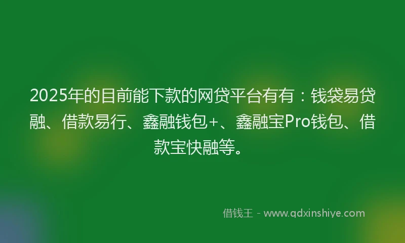 2025年的目前能下款的网贷平台有有：钱袋易贷融、借款易行、鑫融钱包+、鑫融宝Pro钱包、借款宝快融等。
