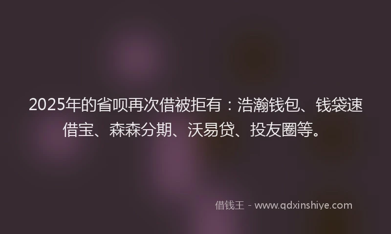 2025年的省呗再次借被拒有：浩瀚钱包、钱袋速借宝、森森分期、沃易贷、投友圈等。