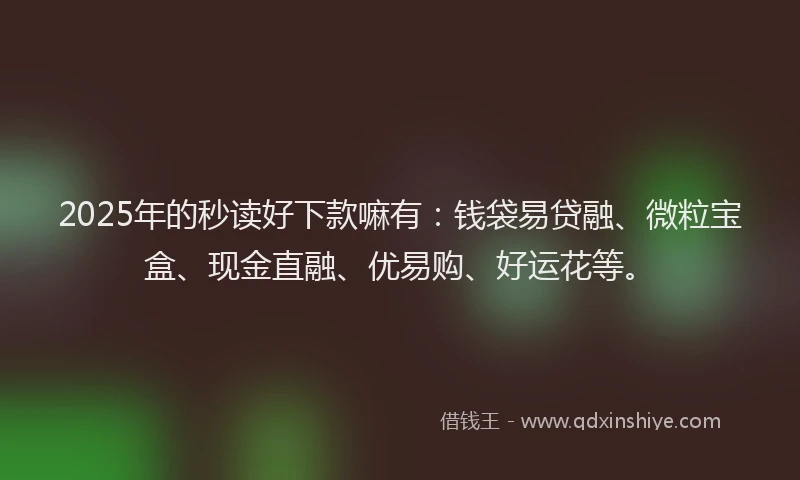 2025年的秒读好下款嘛有:钱袋易贷融、微粒宝盒、现金直融、优易购、好运花等。