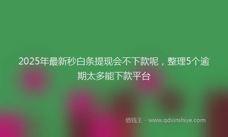 2025年最新秒白条提现会不下款呢，整理5个逾期太多能下款平台