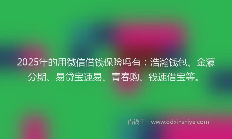 2025年的用微信借钱保险吗有:浩瀚钱包、金瀛分期、易贷宝速易、青春购、钱速借宝等。