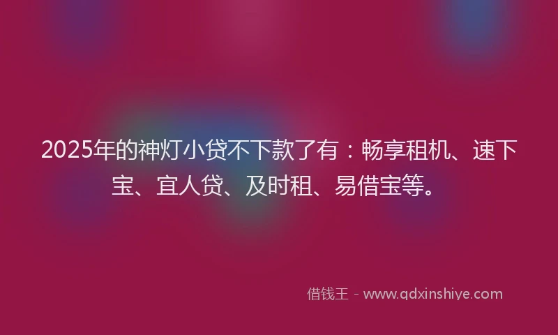 2025年的神灯小贷不下款了有：畅享租机、速下宝、宜人贷、及时租、易借宝等。