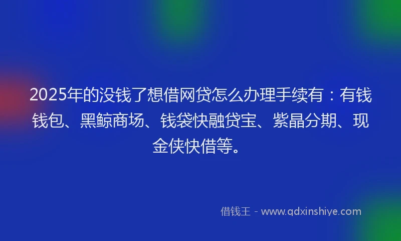2025年的没钱了想借网贷怎么办理手续有：有钱钱包、黑鲸商场、钱袋快融贷宝、紫晶分期、现金侠快借等。