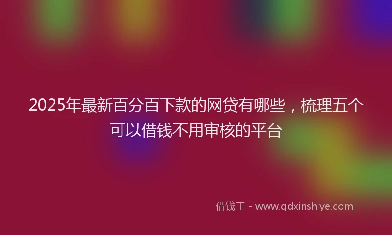 2025年最新百分百下款的网贷有哪些，梳理五个可以借钱不用审核的平台