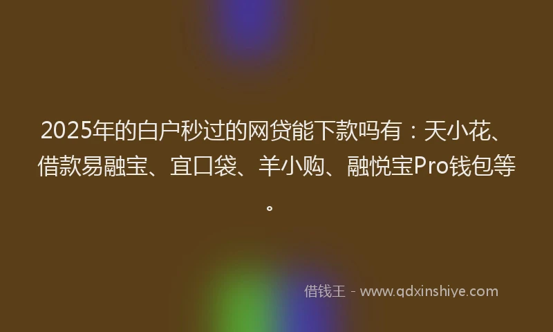 2025年的白户秒过的网贷能下款吗有：天小花、借款易融宝、宜口袋、羊小购、融悦宝Pro钱包等。