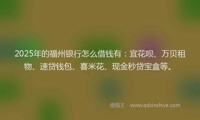 2025年的福州银行怎么借钱有：宜花呗、万贝租物、速贷钱包、喜米花、现金秒贷宝盒等。