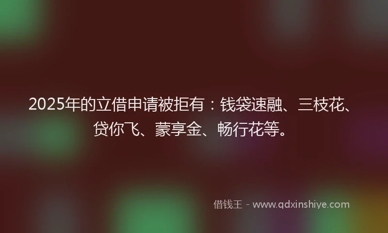 2025年的立借申请被拒有：钱袋速融、三枝花、贷你飞、蒙享金、畅行花等。