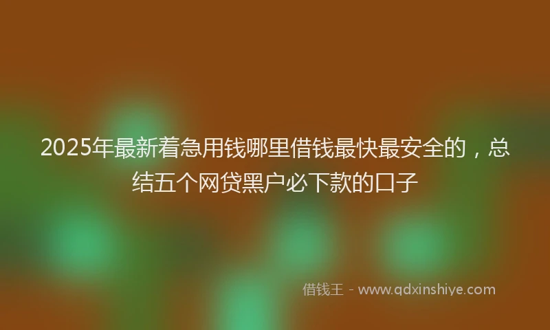 2025年最新着急用钱哪里借钱最快最安全的，总结五个网贷黑户必下款的口子