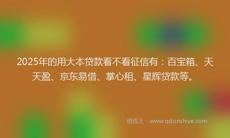 2025年的用大本贷款看不看征信有：百宝箱、天天盈、京东易借、掌心租、星辉贷款等。