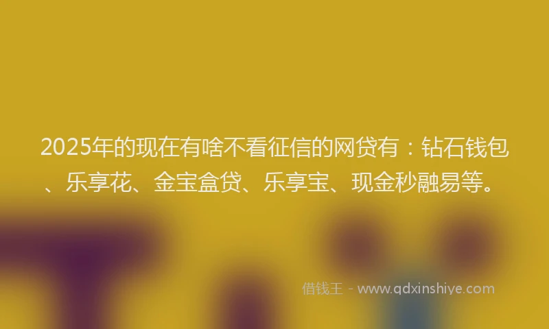 2025年的现在有啥不看征信的网贷有：钻石钱包、乐享花、金宝盒贷、乐享宝、现金秒融易等。