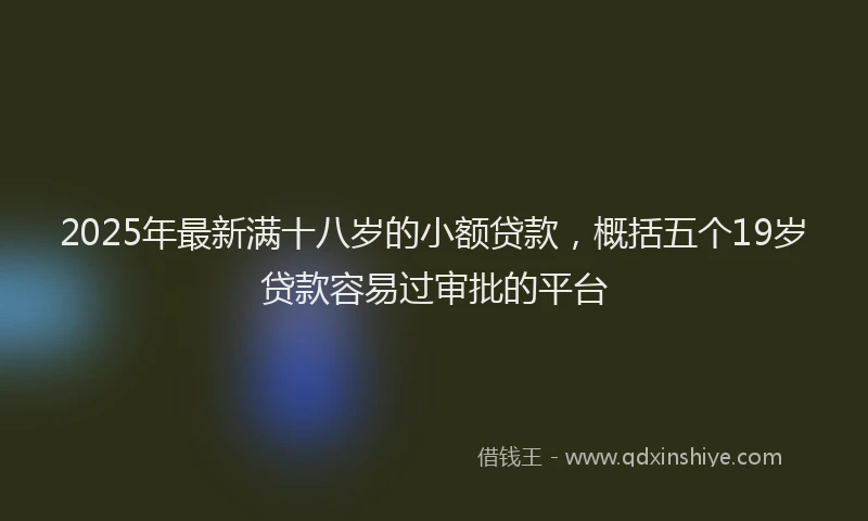2025年最新满十八岁的小额贷款，概括五个19岁贷款容易过审批的平台