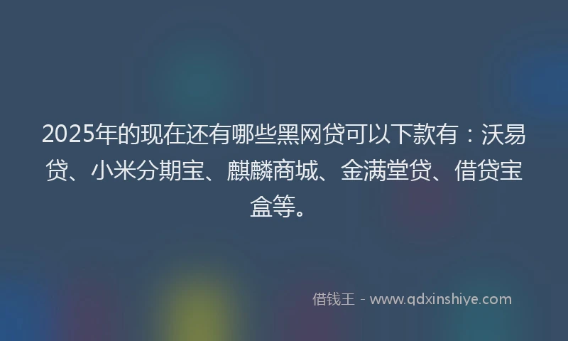 2025年的现在还有哪些黑网贷可以下款有：沃易贷、小米分期宝、麒麟商城、金满堂贷、借贷宝盒等。