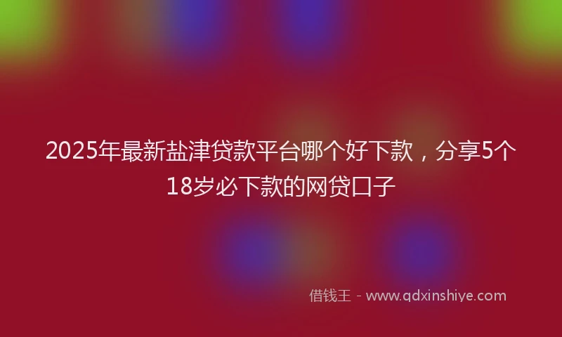 2025年最新盐津贷款平台哪个好下款，分享5个18岁必下款的网贷口子