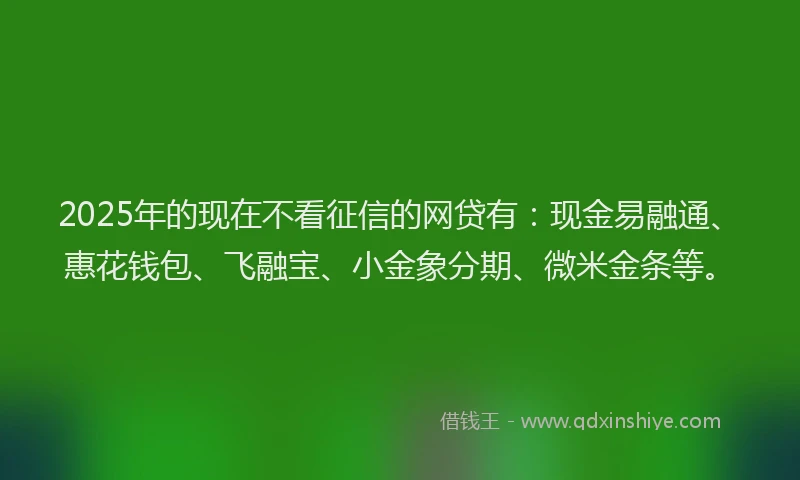 2025年的现在不看征信的网贷有：现金易融通、惠花钱包、飞融宝、小金象分期、微米金条等。