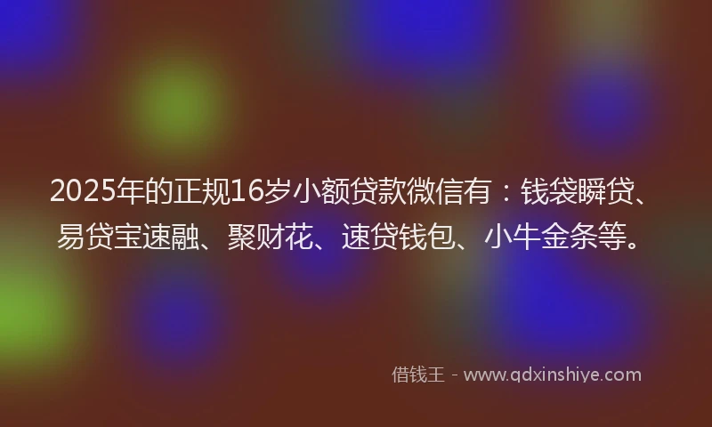 2025年的正规16岁小额贷款微信有：钱袋瞬贷、易贷宝速融、聚财花、速贷钱包、小牛金条等。