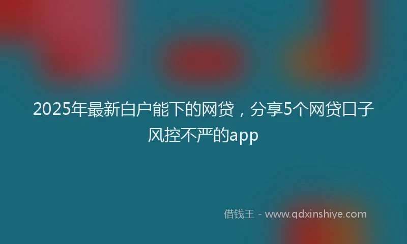 2025年最新白户能下的网贷，分享5个网贷口子风控不严的app